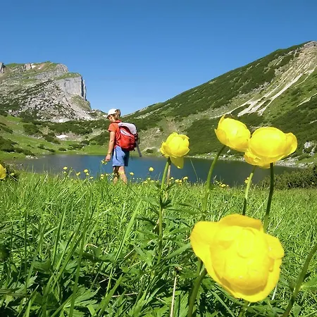 Appartement Scheffachalm *
