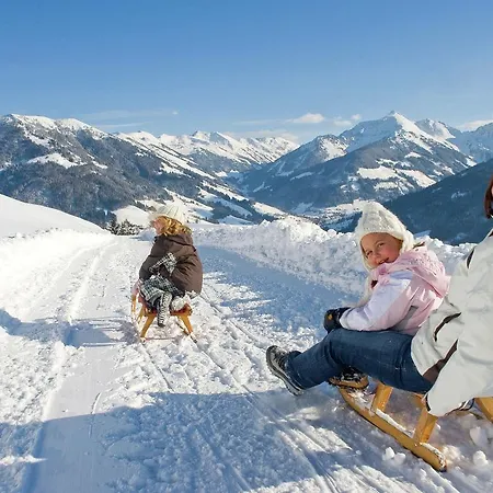 Scheffachalm Appartement Reith im Alpbachtal